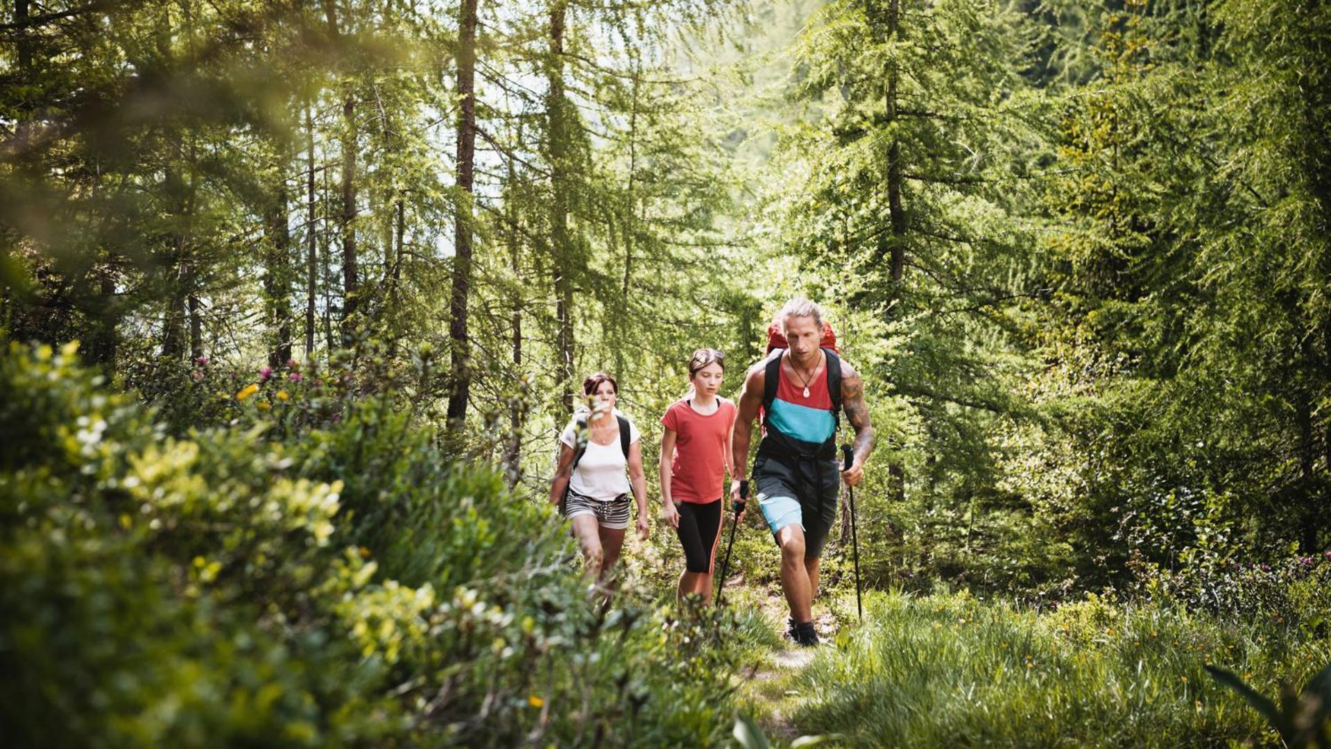 باد هوفغاستين Aktiv- & Gesundheitsresort Das Gxund - Thermeneintritt Inklusive المظهر الخارجي الصورة